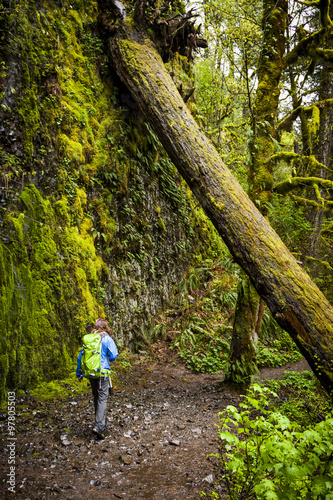 Scenic Trail in Columbia River Gorge, Oregon © Chris Gardiner