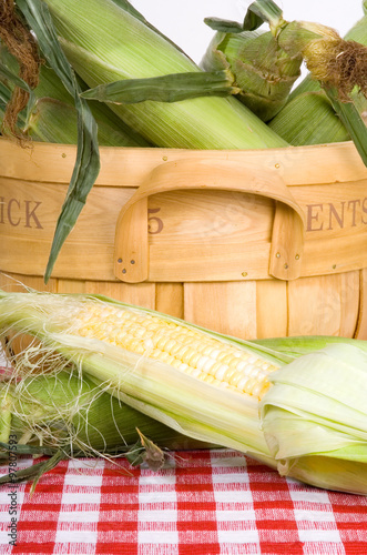 Basket of Ears of Corn – An ear of corn, partially shucked, in the foreground. Other unshucked ears of corn in a basket in the background. photo