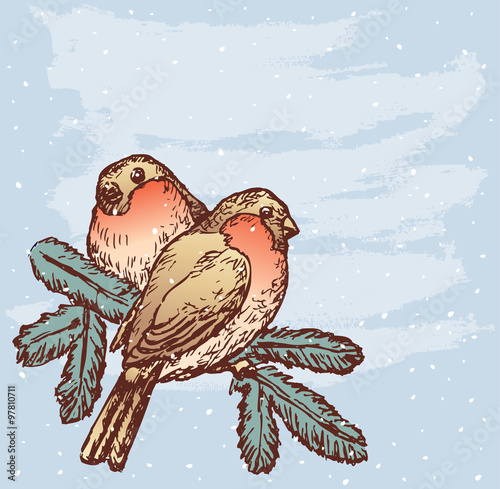  bullfinches in december