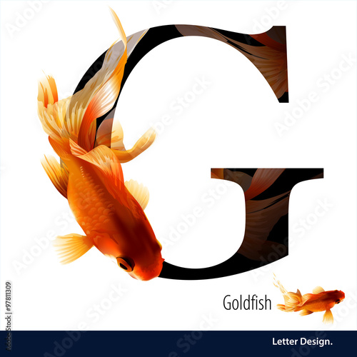 Vector illustration of Letter G for Goldfish alphabet. English
