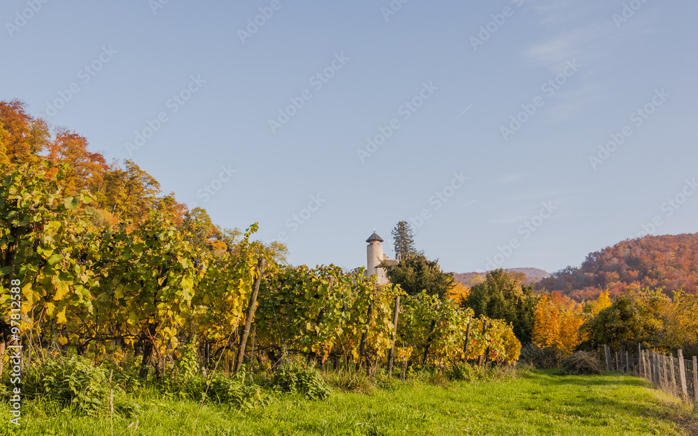 Arlesheim, Dorf, Birseck, Schloss Birseck, Weinberg, Weinrebe, Herbstfarbe, Herbst, Schweiz