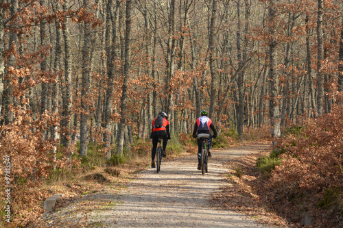 ruta en bicicleta a través del bosque