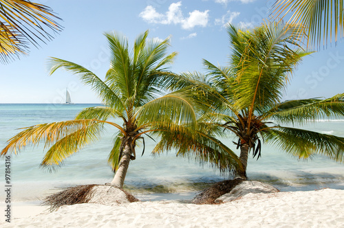Beautiful caribbean beach on Saona island