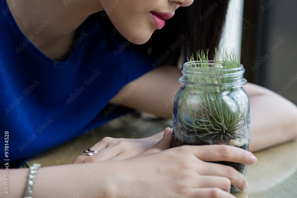 Obraz premium Beautiful women are supporting a tree by the window.