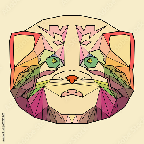 Fototapeta Naklejka Na Ścianę i Meble -  Colorful Head of Cat breed manul in linear graphic design