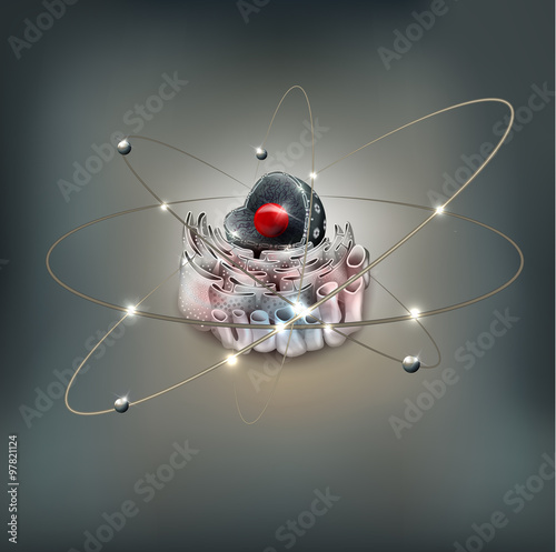 Cell Nucleus and Endoplasmic reticulum
