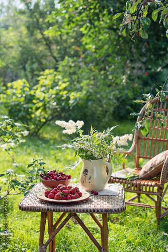 Picnic with strawberries and cherries in the garden