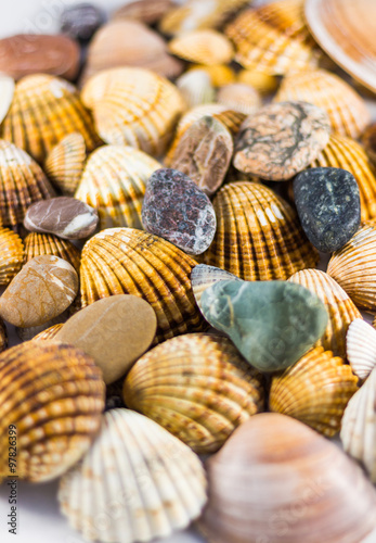 seashells and stones isolated on white background