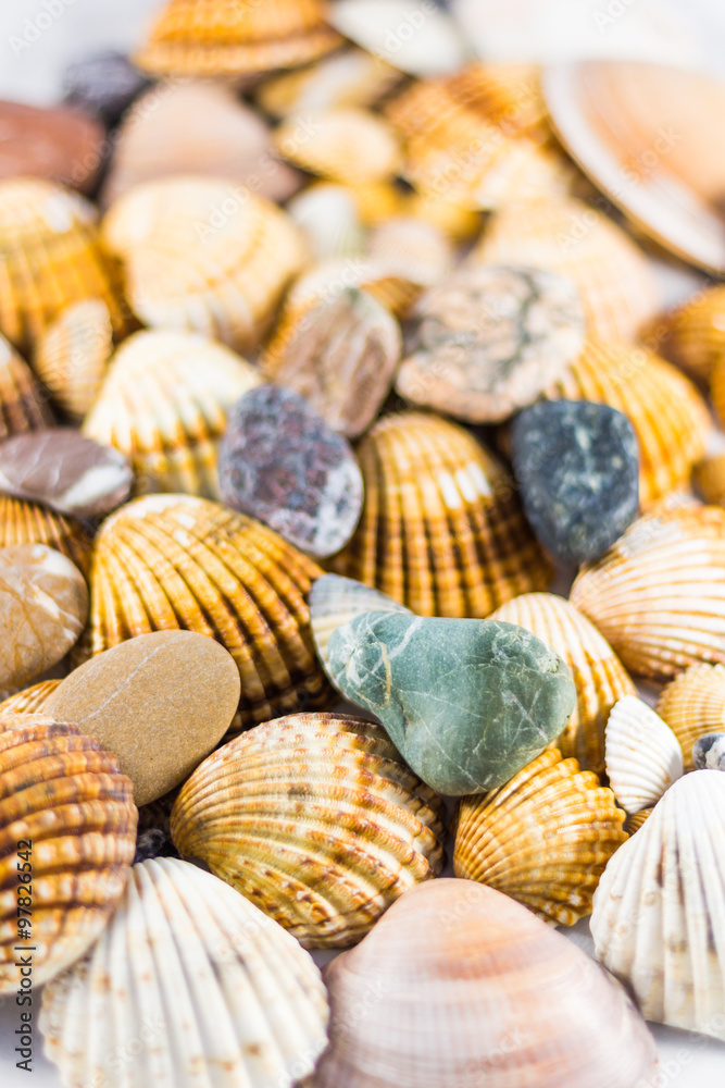 seashells and stones isolated on white background seashells and stones isolated on white background