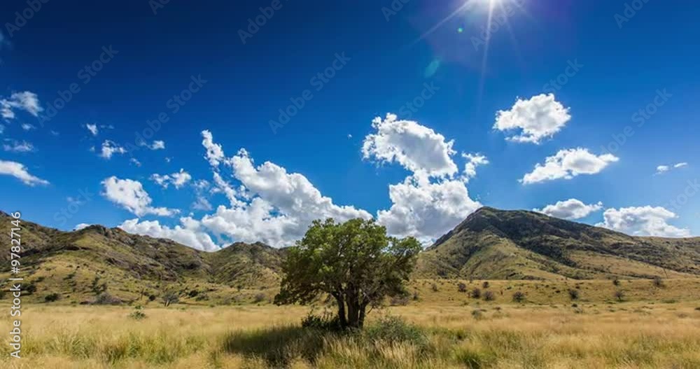 A Tree in the Middle of a Field with Mountain Range. a time lapse of a single tree in a field with a mountain range in the background. Clouds fly over the mountains. Sun flare in top.
