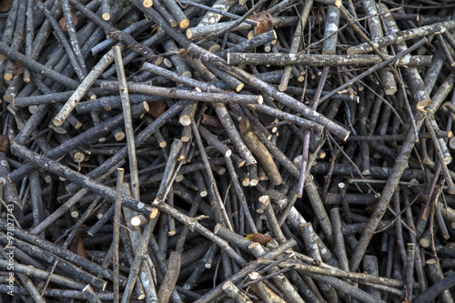 Stockpile of logs