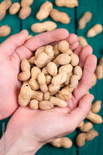 Peanut in hands