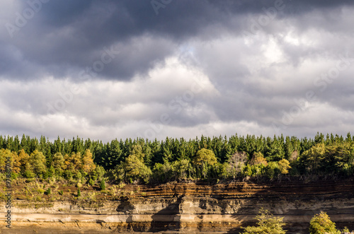 Rock and forest landscape, Conguilla National Park, Chile photo