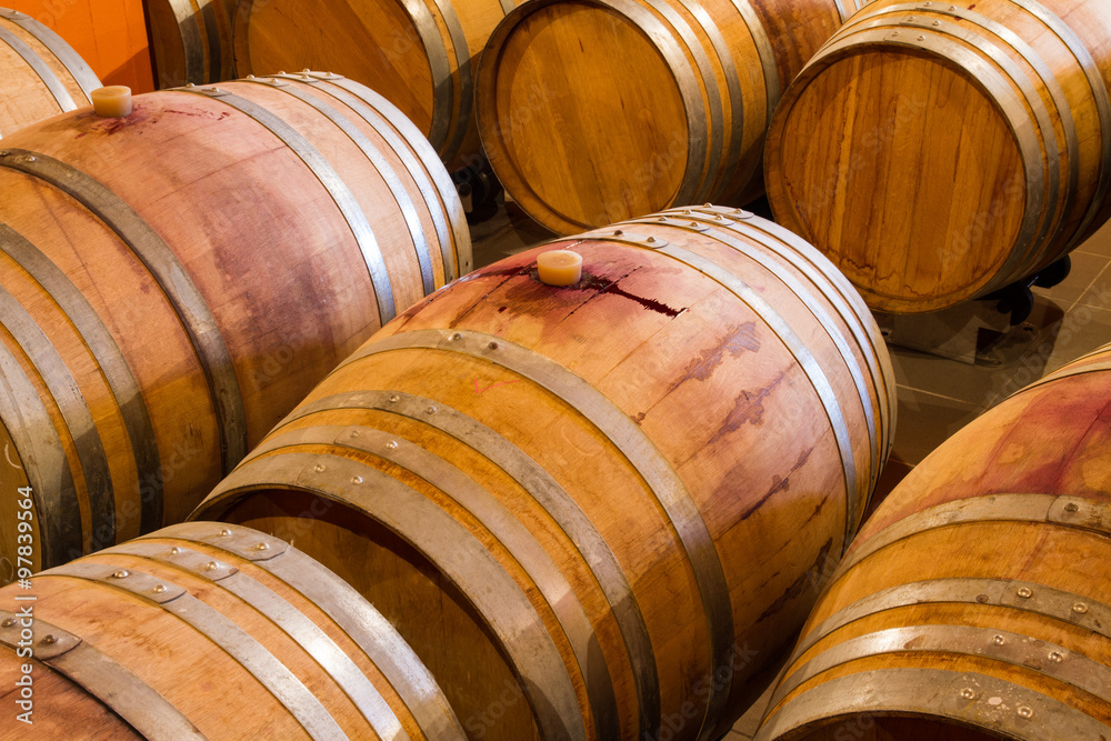 Rows of oak wine barrels in a winery cellar.