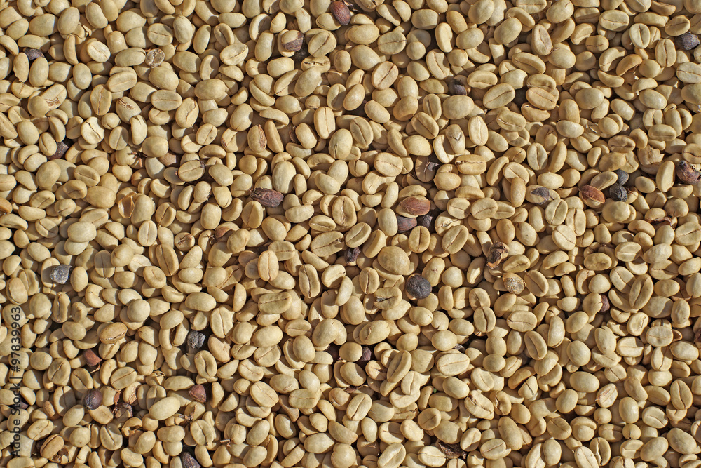 Fototapeta premium fresh coffee beans