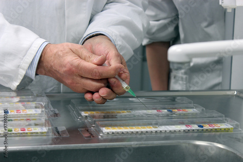 Scientist hands holding syringe performing microbiological strain identification test in laboratory.