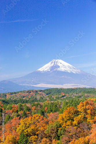 箱根峠付近から見た富士山 © Yoshinori Okada