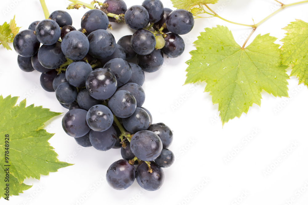 Fototapeta premium 白バックのぶどうの実と葉
