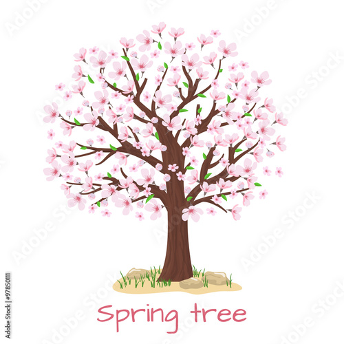 Spring blossom cherry tree vector