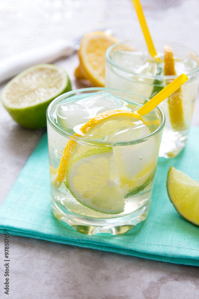 Fototapeta premium gin and tonic