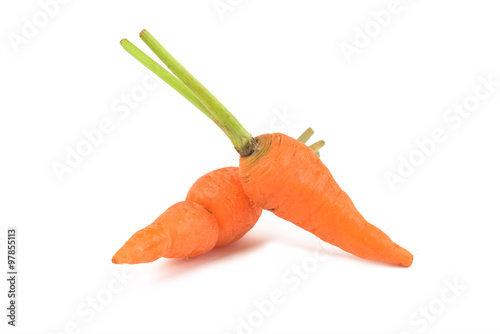 Fresh organic carrot on white background