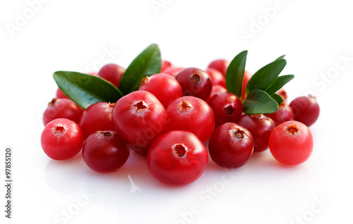 Fresh cranberries with leaves