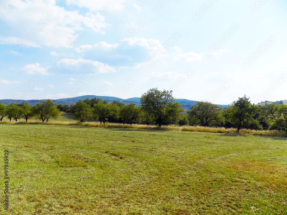 Meadow, forest and sky Meadow, forest and sky
