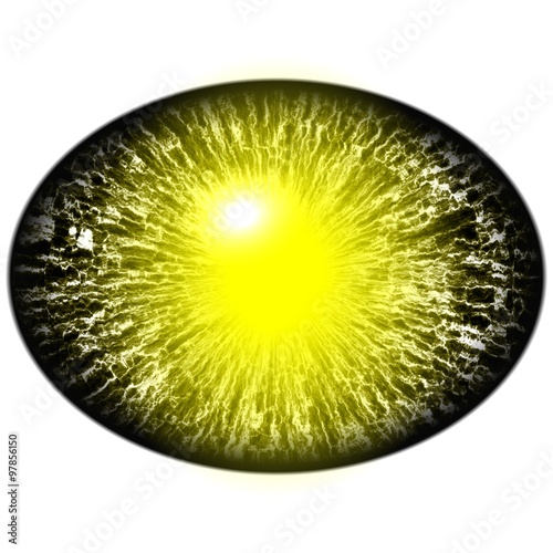 Fototapeta Naklejka Na Ścianę i Meble -  Isolated yellow green eye. Yellow green striped iris around elliptic bright yellow retina