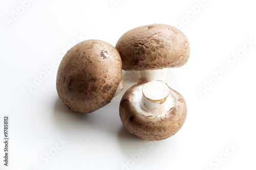 Champignon Mushroom isolated on white background