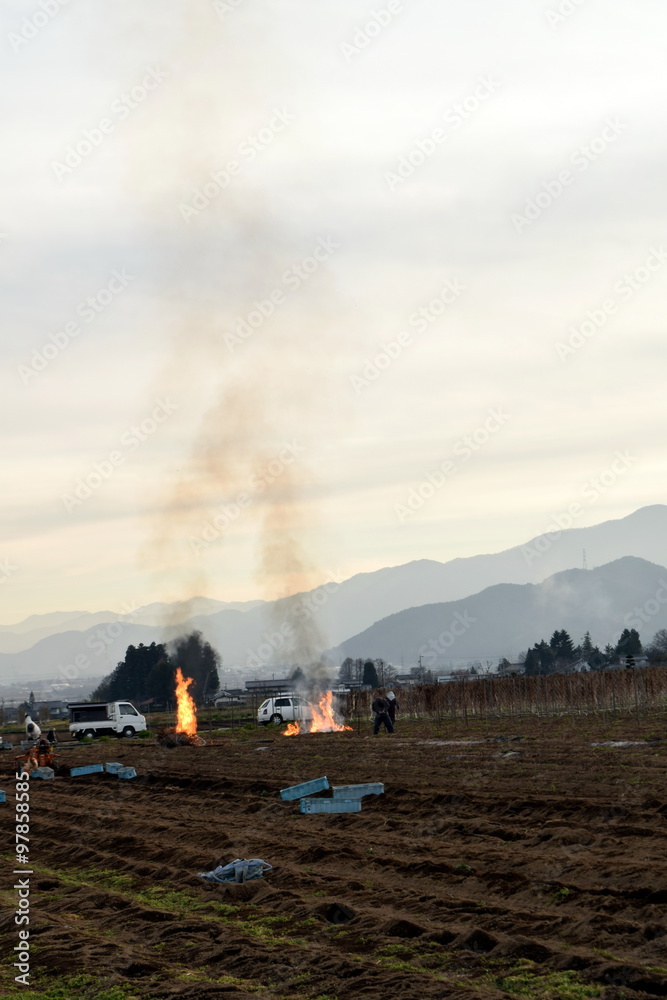 Obraz premium Fire of the field