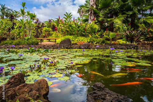 Fotografie Beautiful tropical waterfall in Waimea Valley park on Oahu island