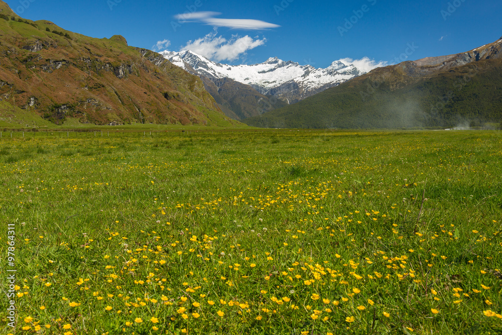 majestic landscape with  meadows and blooming flowers