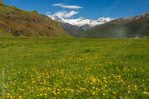 majestic landscape with meadows and blooming flowers