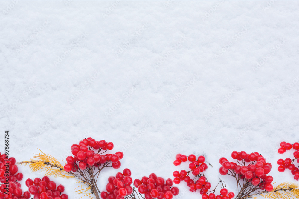 Fototapeta premium snowy winter background