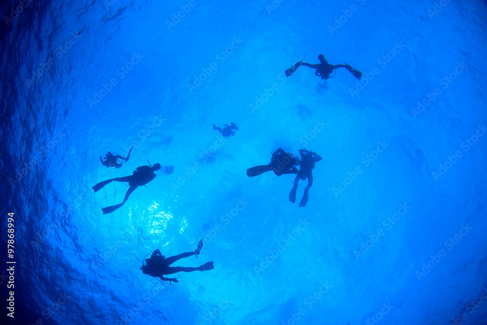 Obraz premium Scuba diving