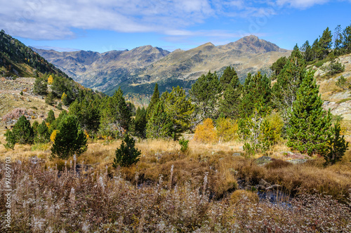 Colorful forest in the Valley of Estanyo River, Andorra photo