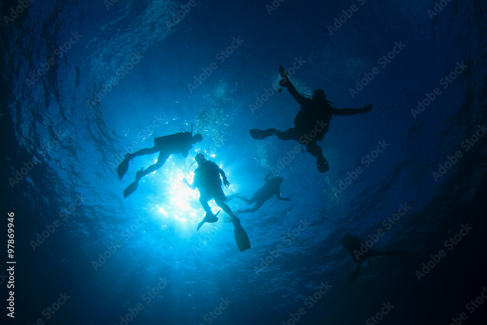 Scuba divers diving Scuba divers diving