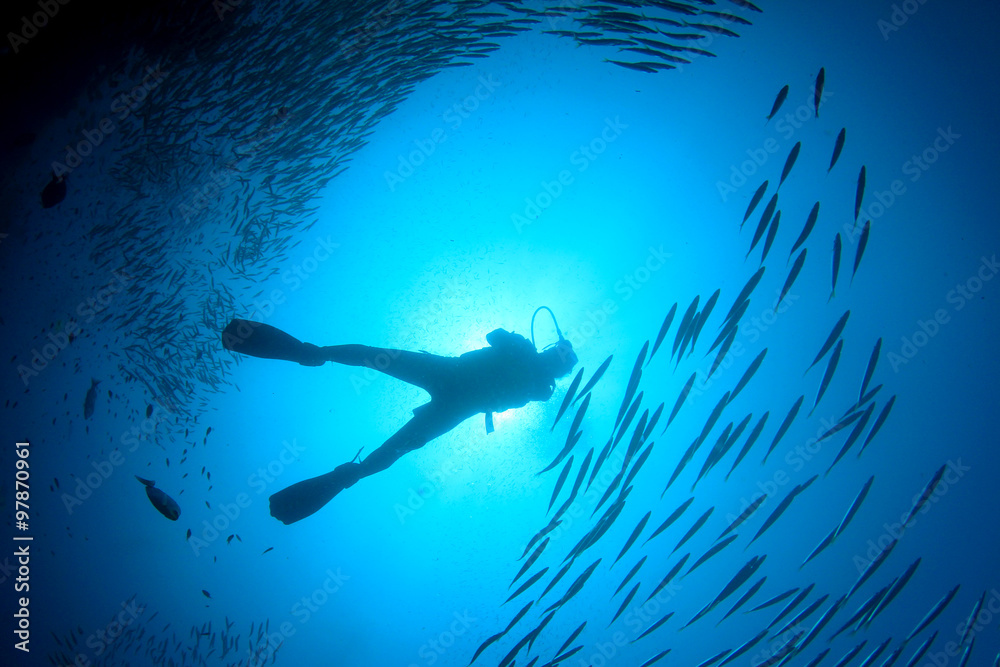 Fototapeta premium Scuba divers diving