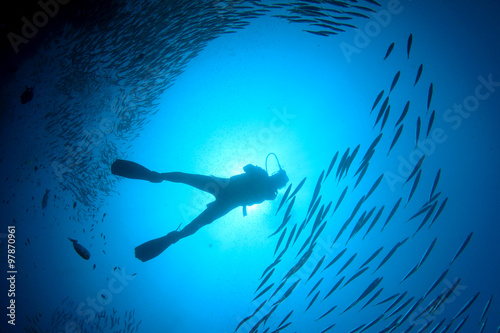 Scuba divers diving