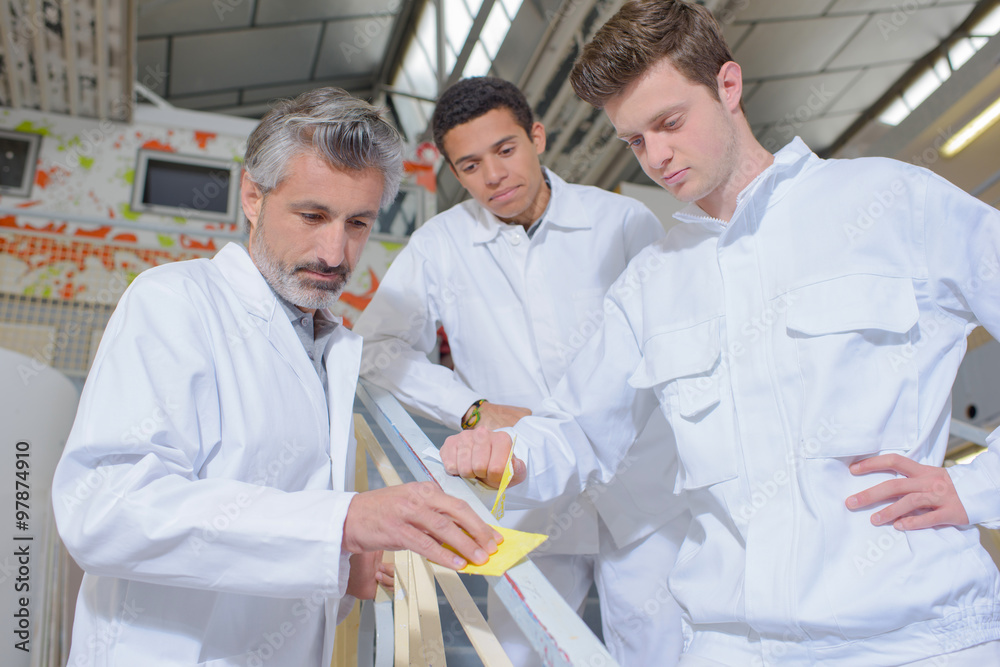 Fototapeta premium apprentices observing their teacher