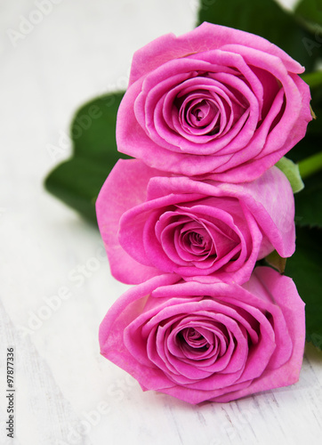 Pink roses