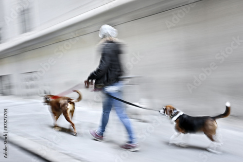 Photography walking the dog on the street