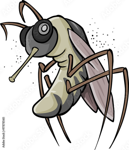 Mosquito