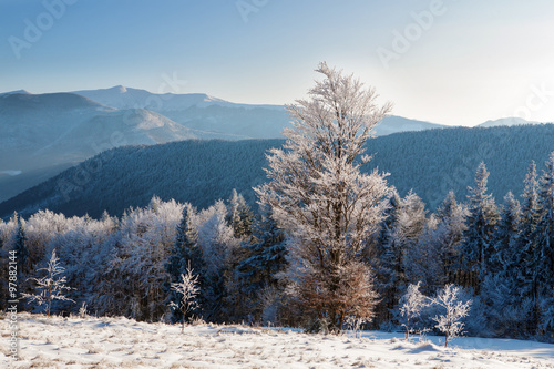 Winter landscape in Carpathians