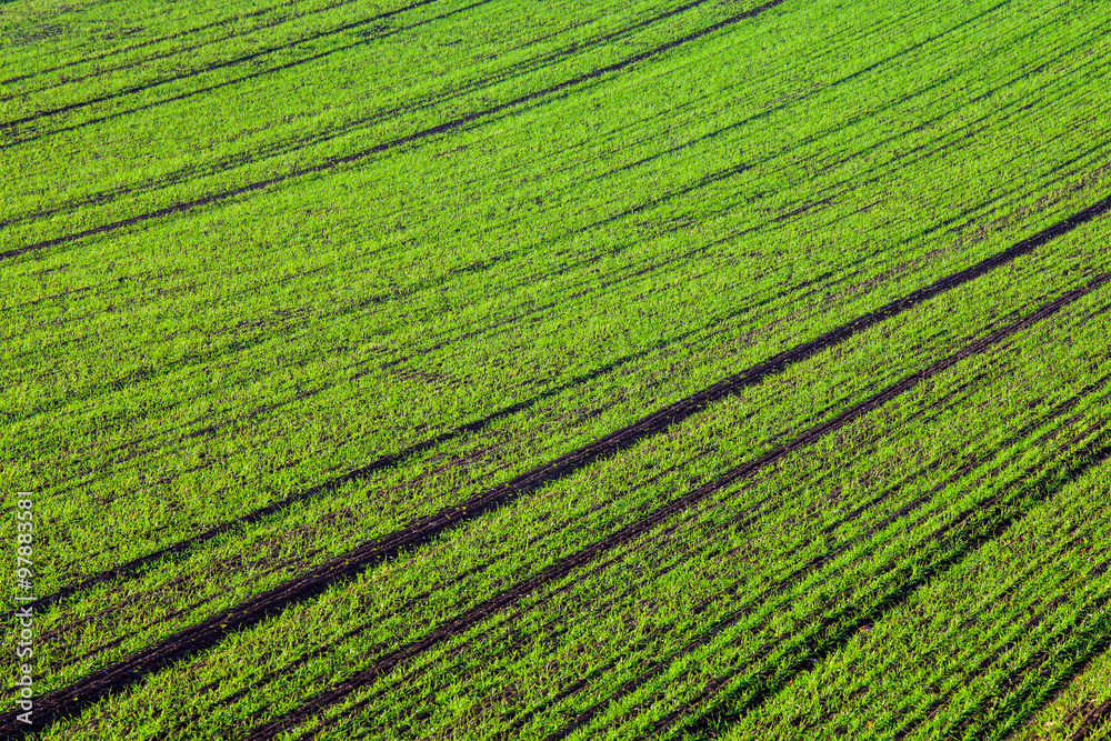 Abstract fields lines Abstract fields lines