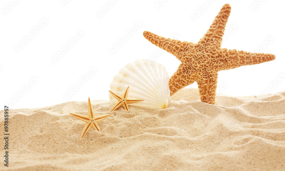 Starfish and shells on sand against white background Starfish and shells on sand against white background