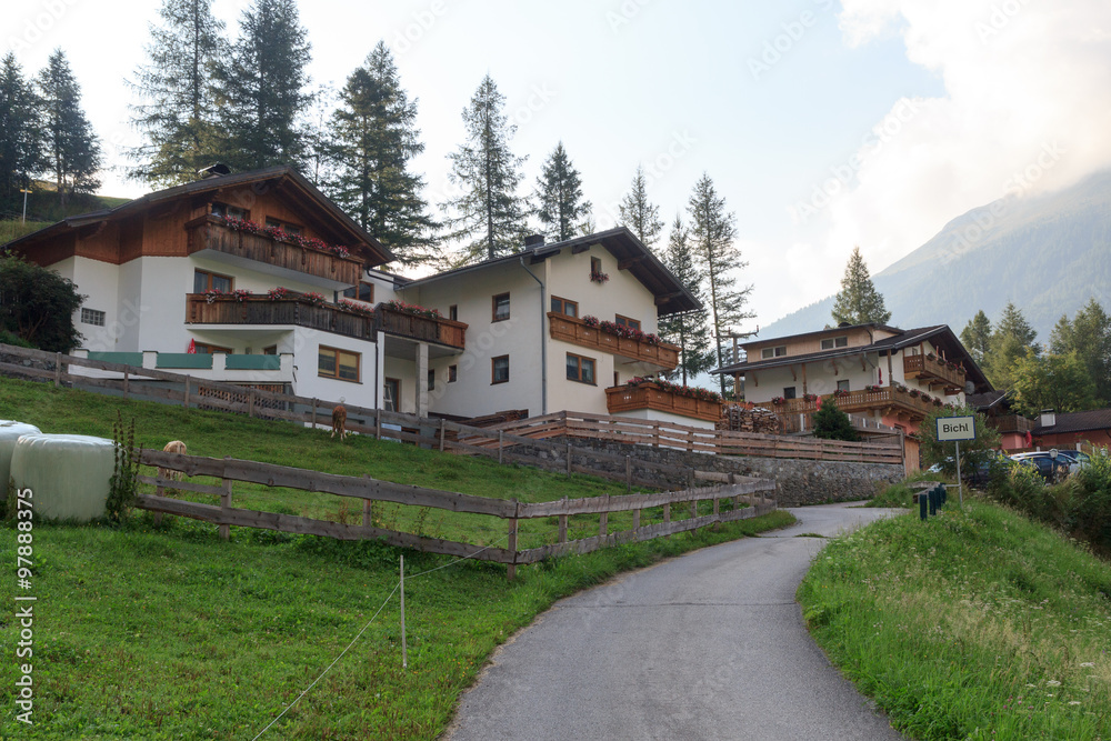 Alpine village Bichl (muncipal Prägraten am Großvenediger) in the mountains, Austria