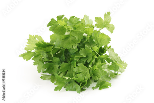 bunch of fresh parsley isolated