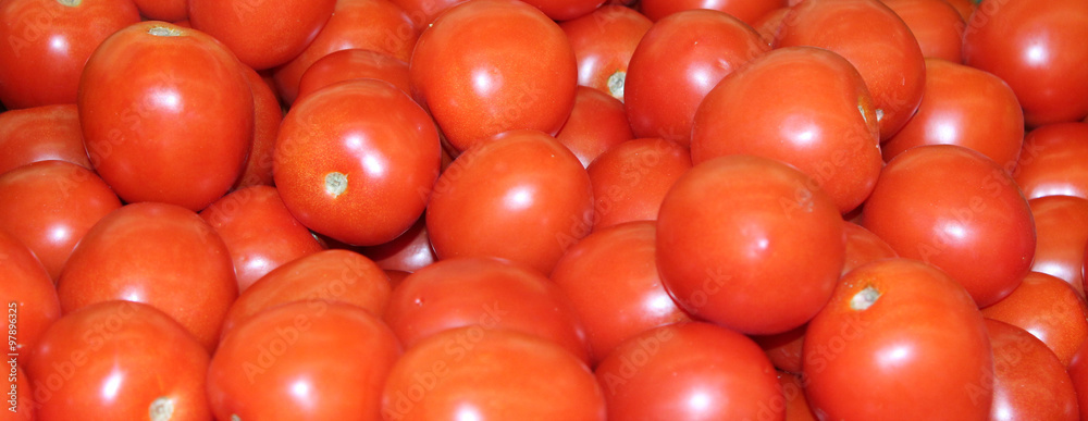 tomate tomate