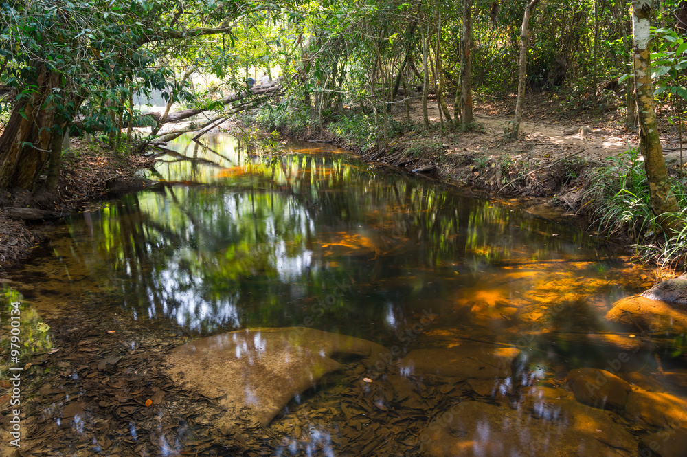 Obraz premium Brook at Kbal Spean